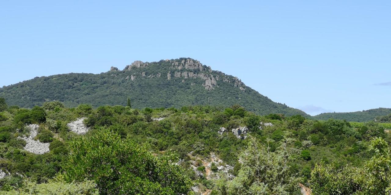 Saint-Saturnin-de-Lucian米莫萨旅馆住宿加早餐旅馆 外观 照片