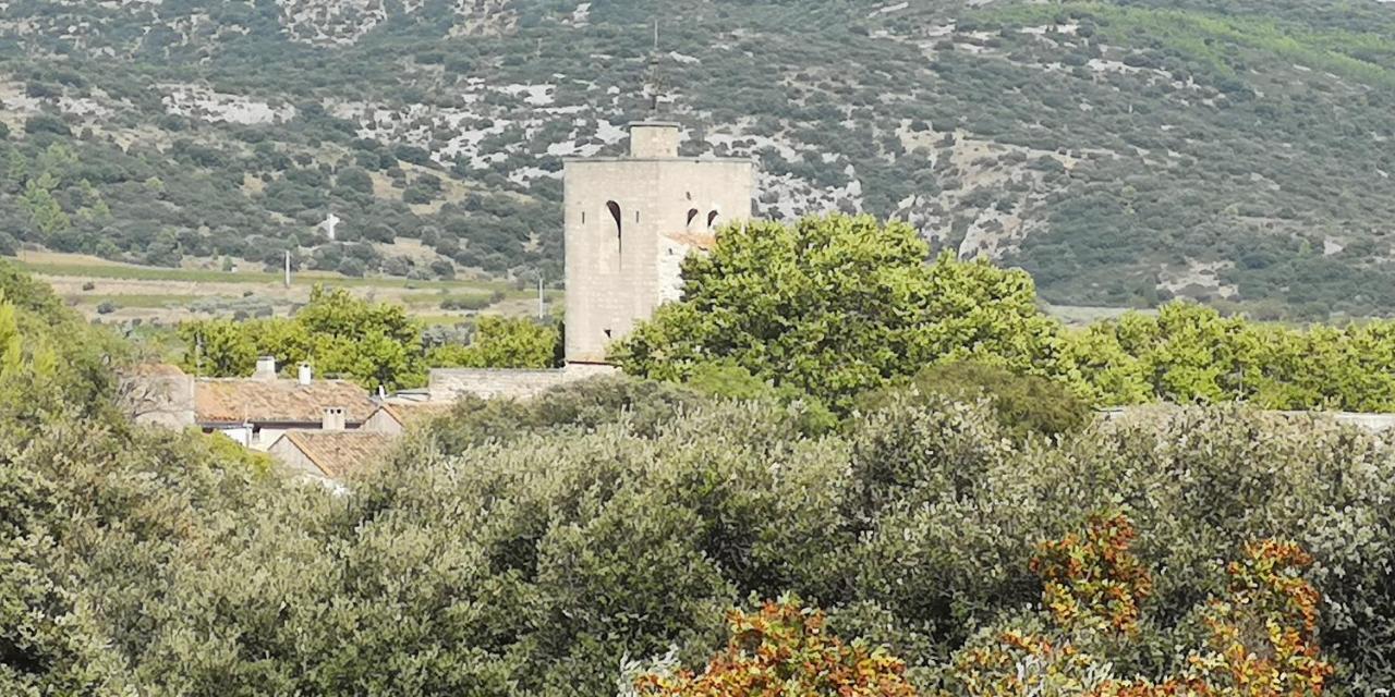 Saint-Saturnin-de-Lucian米莫萨旅馆住宿加早餐旅馆 外观 照片