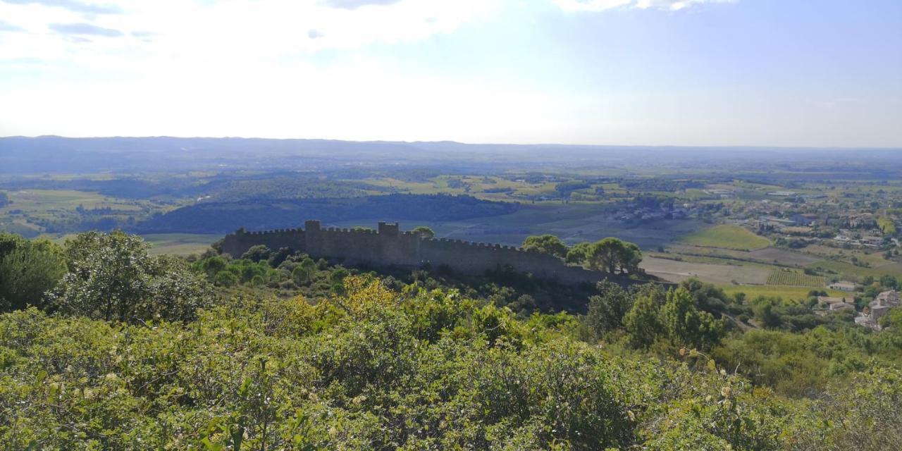 Saint-Saturnin-de-Lucian米莫萨旅馆住宿加早餐旅馆 外观 照片