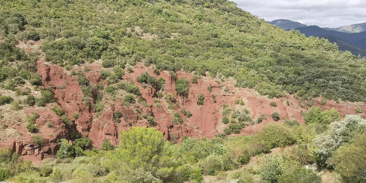 Saint-Saturnin-de-Lucian米莫萨旅馆住宿加早餐旅馆 外观 照片