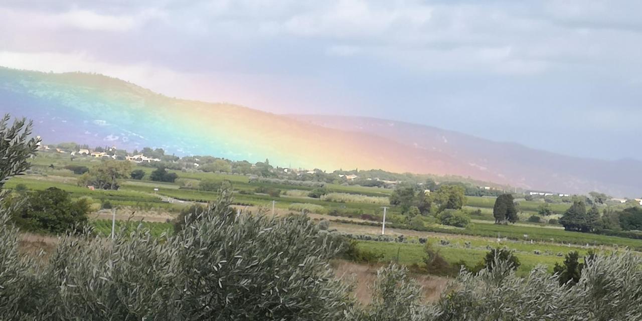 Saint-Saturnin-de-Lucian米莫萨旅馆住宿加早餐旅馆 外观 照片