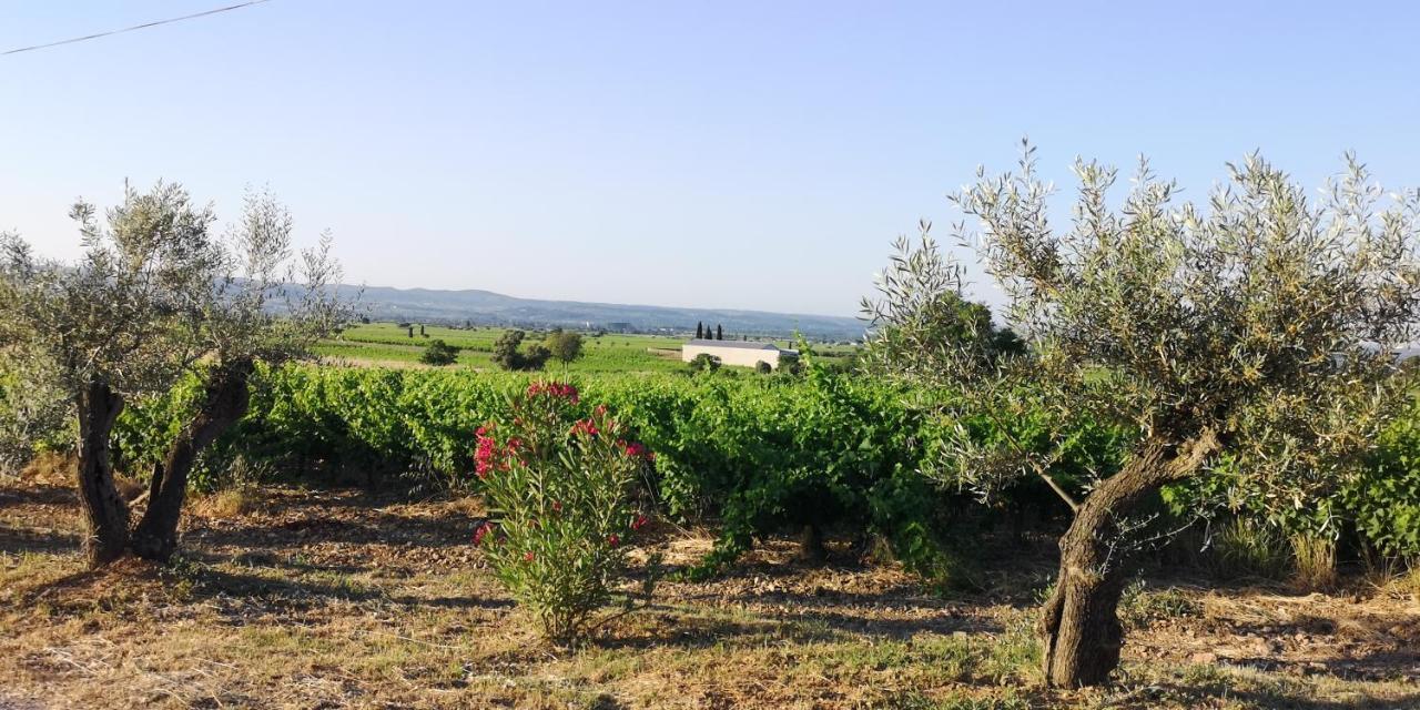 Saint-Saturnin-de-Lucian米莫萨旅馆住宿加早餐旅馆 外观 照片