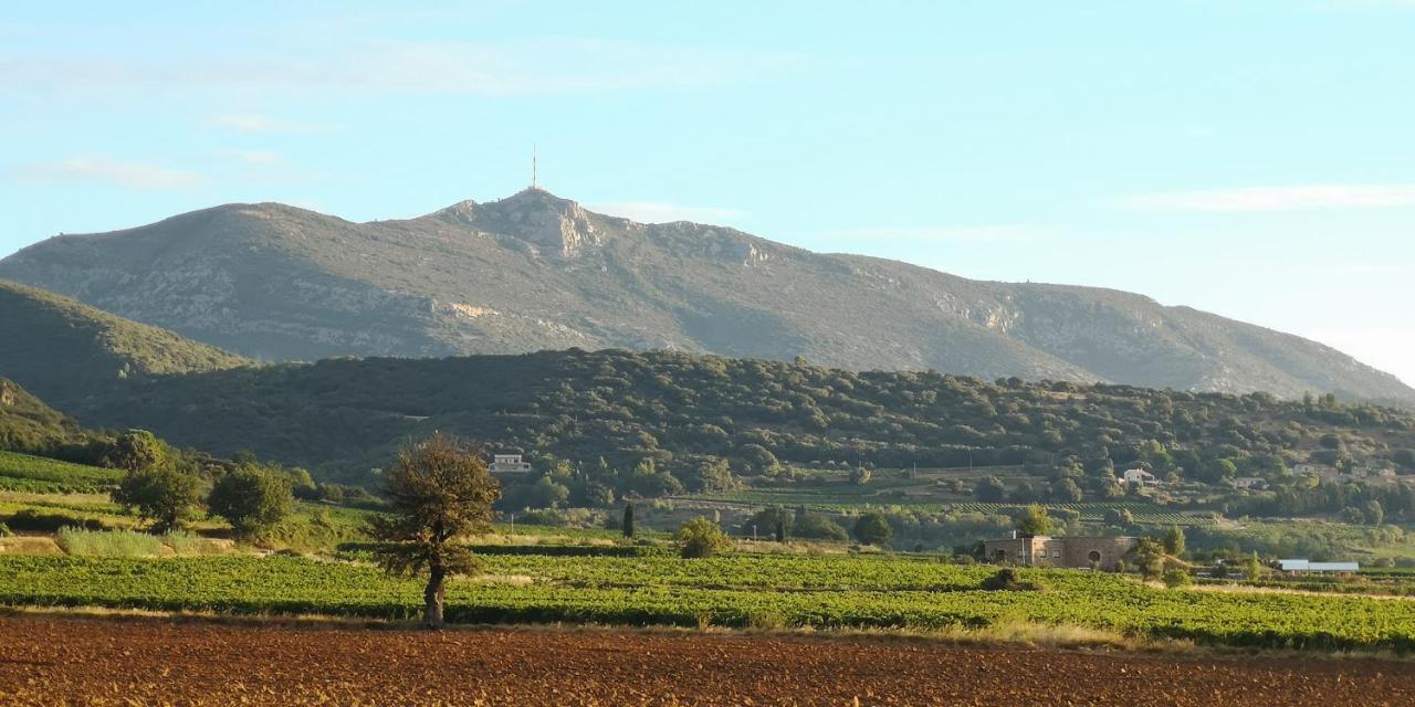 Saint-Saturnin-de-Lucian米莫萨旅馆住宿加早餐旅馆 外观 照片
