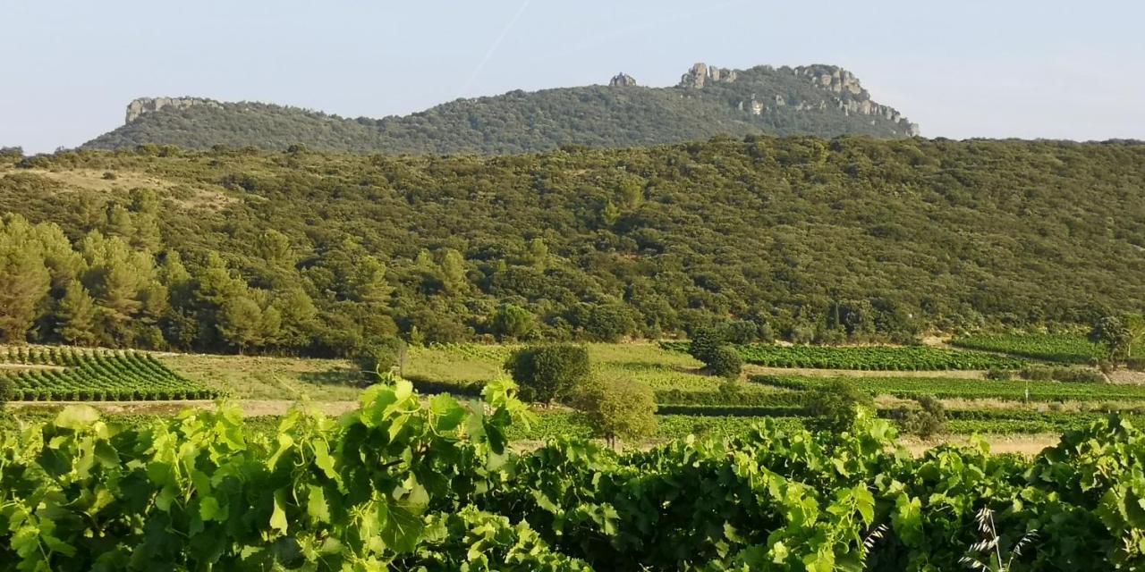 Saint-Saturnin-de-Lucian米莫萨旅馆住宿加早餐旅馆 外观 照片
