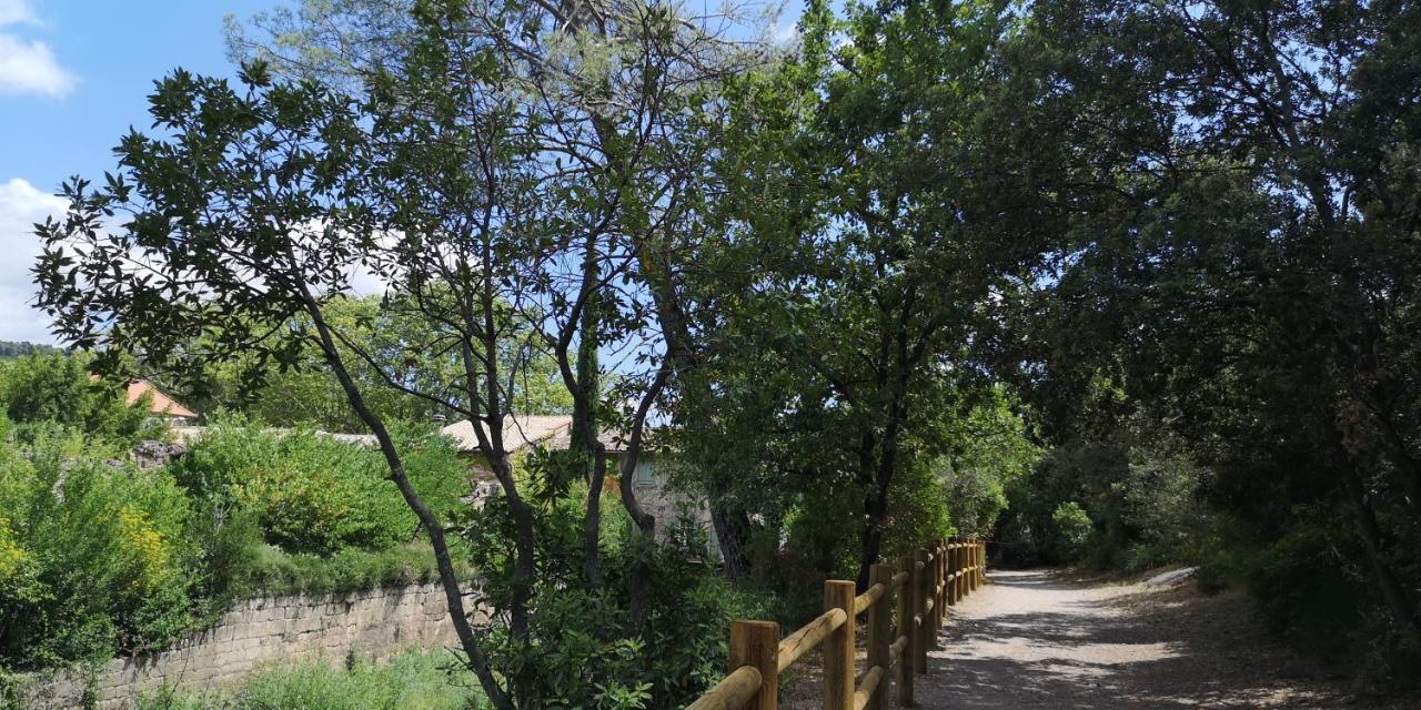 Saint-Saturnin-de-Lucian米莫萨旅馆住宿加早餐旅馆 外观 照片