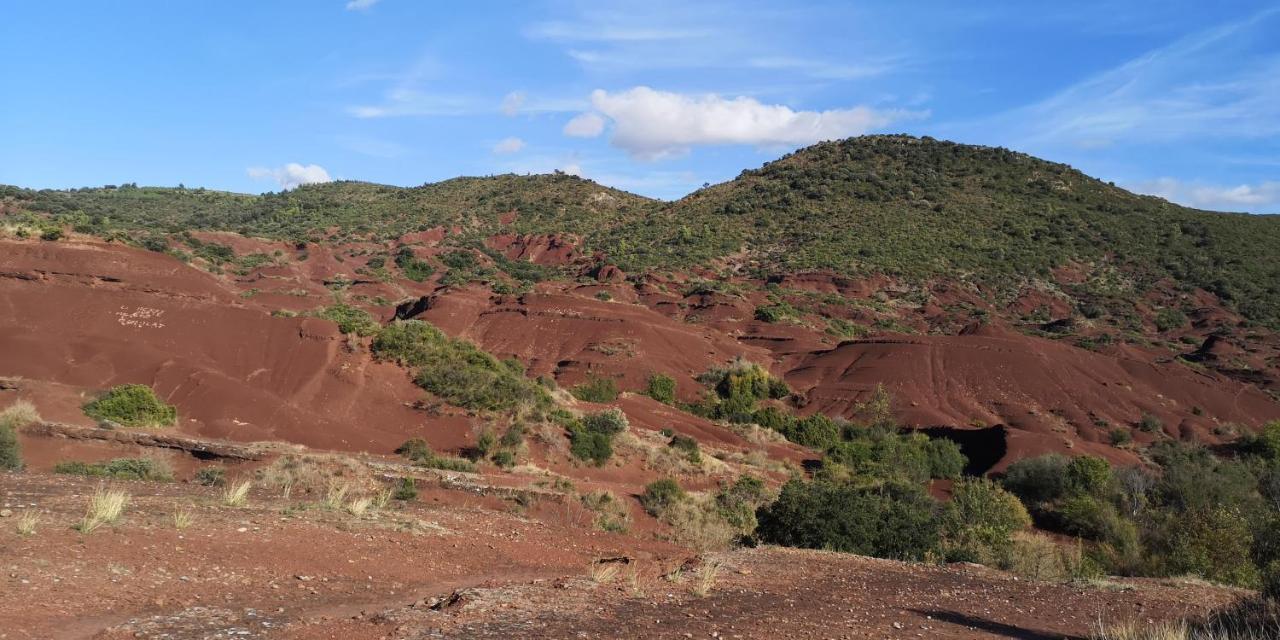 Saint-Saturnin-de-Lucian米莫萨旅馆住宿加早餐旅馆 外观 照片