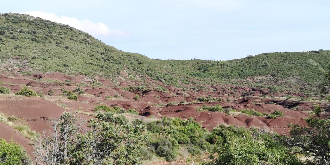 Saint-Saturnin-de-Lucian米莫萨旅馆住宿加早餐旅馆 外观 照片