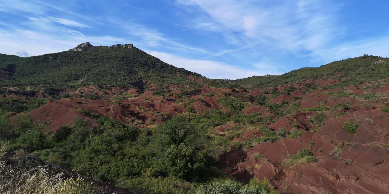 Saint-Saturnin-de-Lucian米莫萨旅馆住宿加早餐旅馆 外观 照片