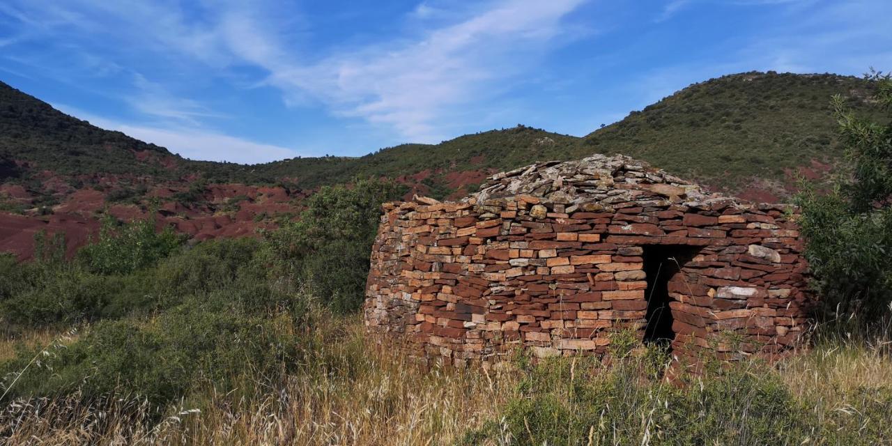 Saint-Saturnin-de-Lucian米莫萨旅馆住宿加早餐旅馆 外观 照片