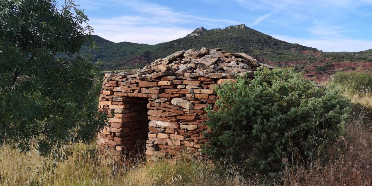 Saint-Saturnin-de-Lucian米莫萨旅馆住宿加早餐旅馆 外观 照片